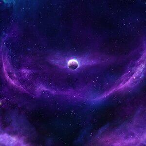 Meet your Posher, Noelle